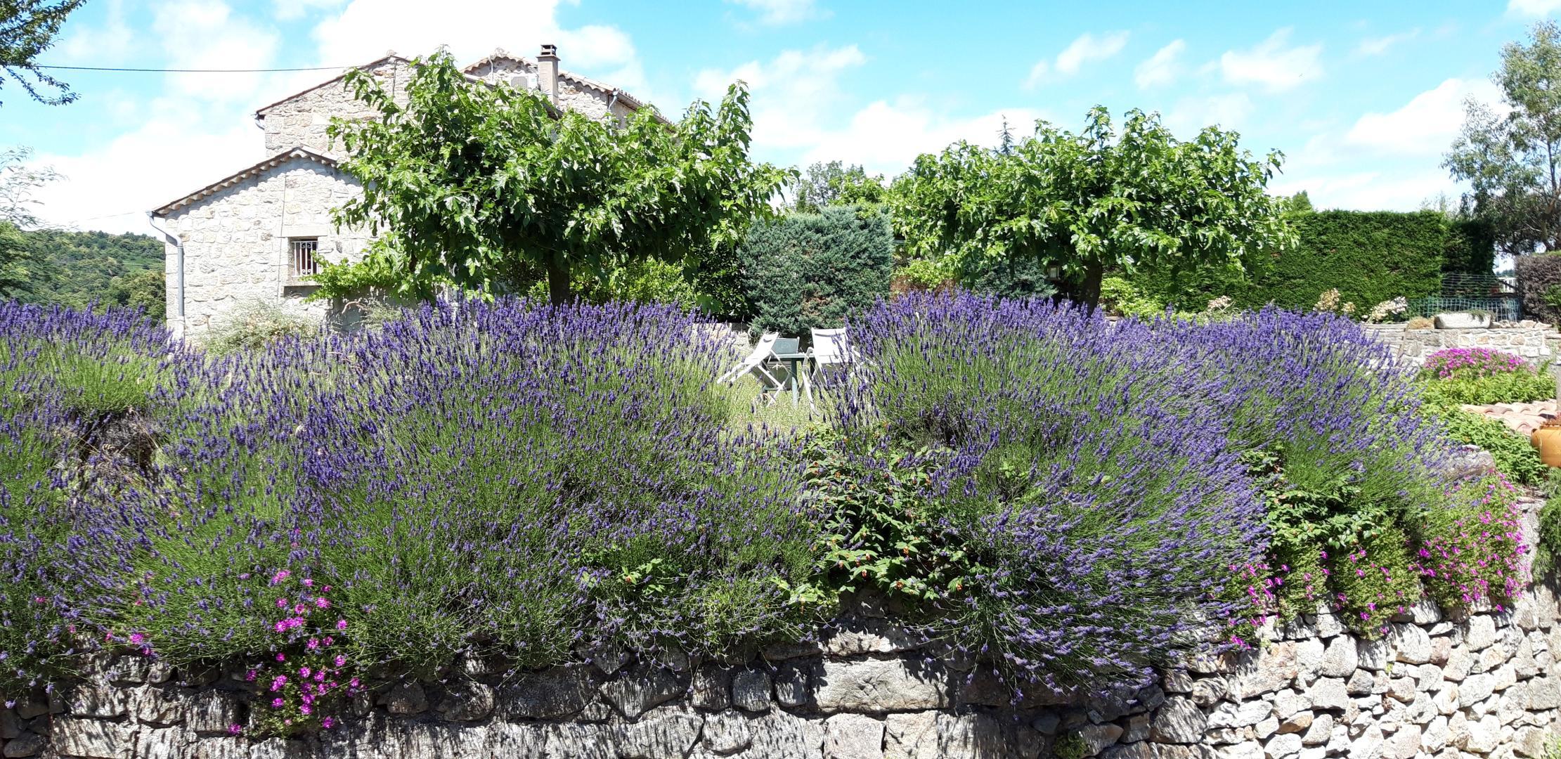 Le jardin commun fleuri photo 15