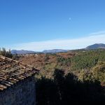 La vue depuis la terrasse