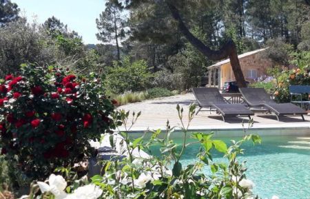 G&icirc;te n&deg;50719 Chambonas - Ard&egrave;che - gite vu de la piscine