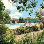 La piscine et son environnement