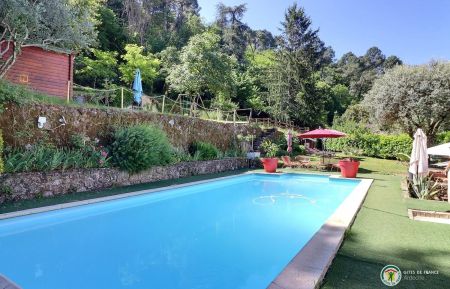 G&icirc;te n&deg;132716 Largenti&egrave;re - Ard&egrave;che - La piscine privative et son environnement