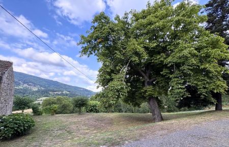 Sous le marronnier en été -route goudronnée privée pour l'accès au gîte- Gîte n°236011 Saint-Félicien - Ardèche - Sous le marronnier en été -route goudronnée privée pour l'accès au gîte-