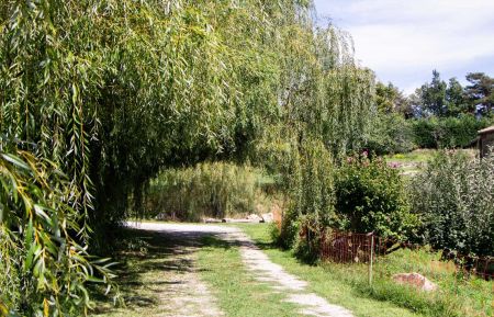 Gîte n°236701 Saint-Félicien - Ardèche - photoEte