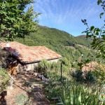 Petit chemin accédant à la 3e terrasse du gîte Petit chemin accédant à la 3e terrasse du gîte