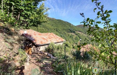 G&icirc;te n&deg;112702 Labastide-sur-B&eacute;sorgues - Ard&egrave;che - Petit chemin acc&eacute;dant &agrave; la 3e terrasse du g&icirc;te